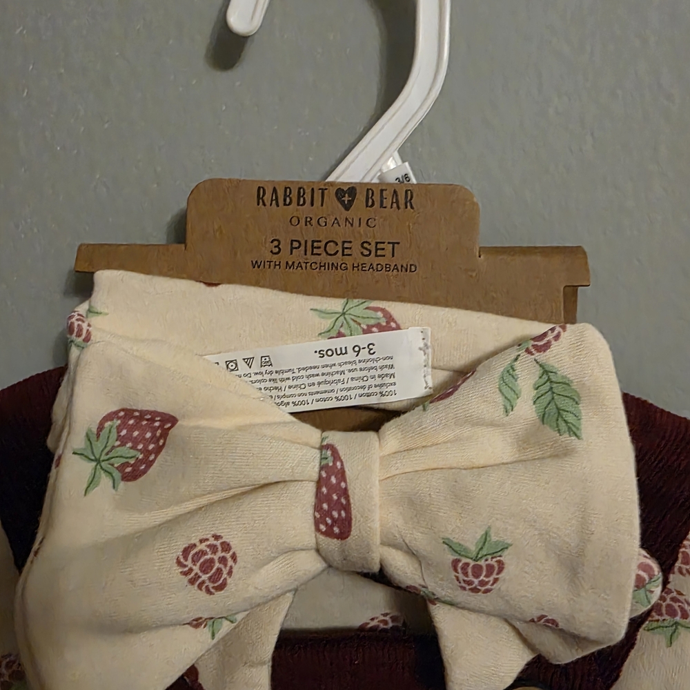 Rabbit + Bear Organic Baby 3-Piece Outfit Set Corduroy Overalls Strawberry Shirt - Picture 3 of 5